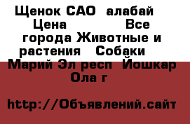 Щенок САО (алабай) › Цена ­ 10 000 - Все города Животные и растения » Собаки   . Марий Эл респ.,Йошкар-Ола г.